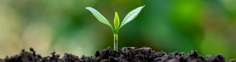 restoring fertility and hope