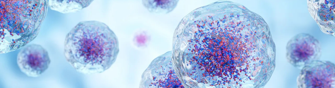 role stem cells in treating Asherman Syndrome